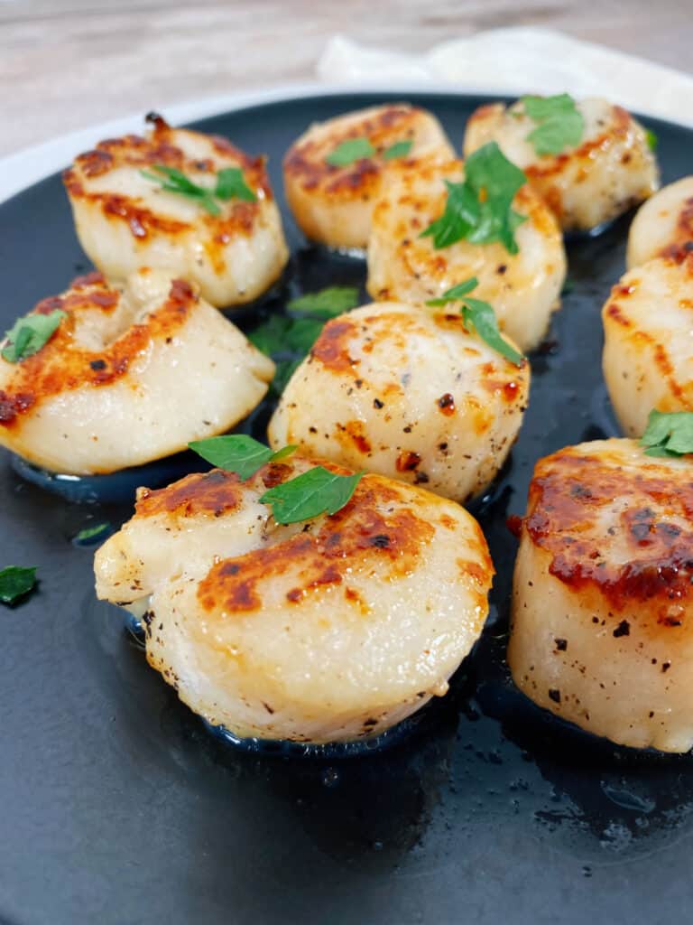 Close up of pan-seared scallops on a black plate. 