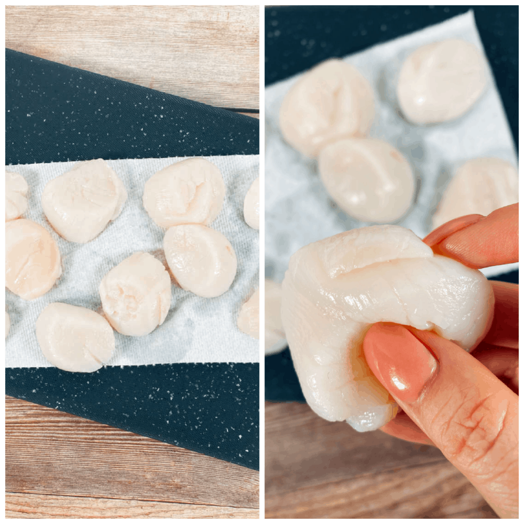Side by Side prep step pictures for searing scallops. On the left the scallops are sitting on a paper towel to remove excess water. In the right picture the muscle is being removed from the scallop.