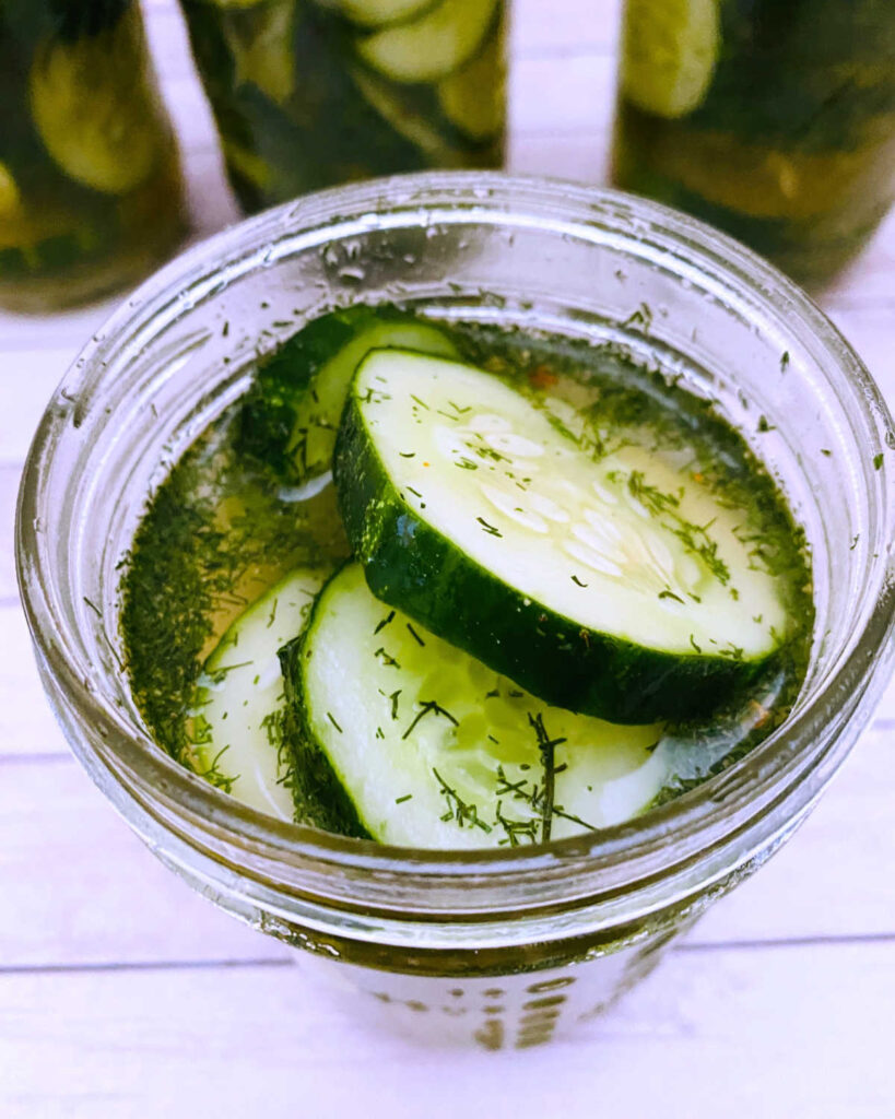 overhead view of pickle slices and spices in a mason jar. 