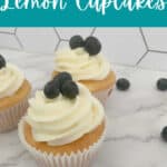 cupcakes on a marble background surrounded by blueberries.