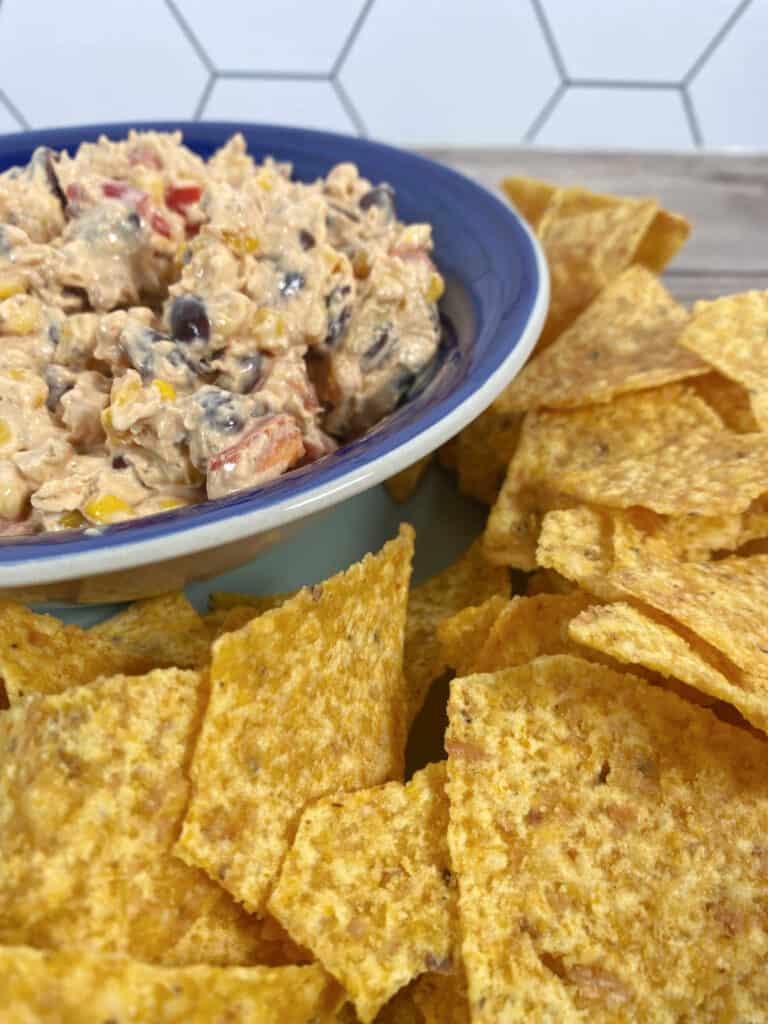 Close up image of dip in a blue bowl surrounded by tortilla chips. 