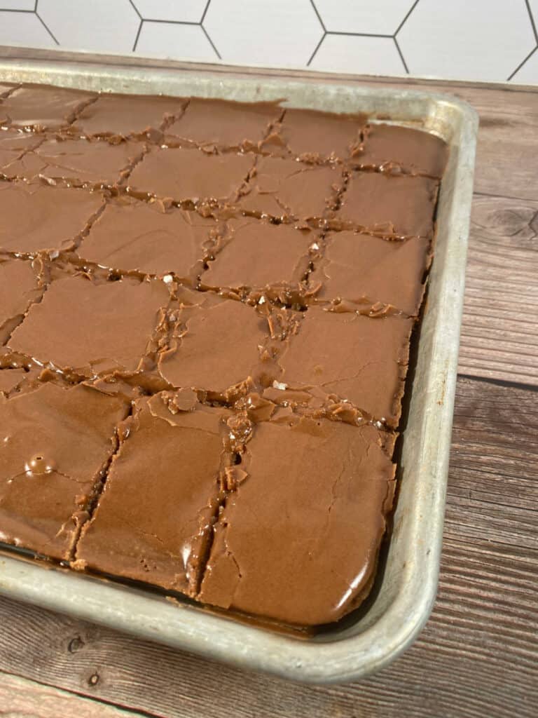 Overhead view of cake cut into squares. 