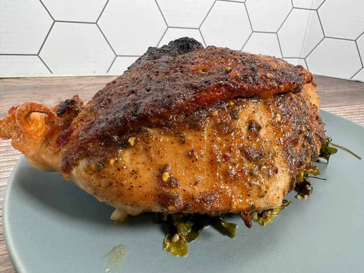 Crispy and juicy turkey breast sits on a light blue plate. 